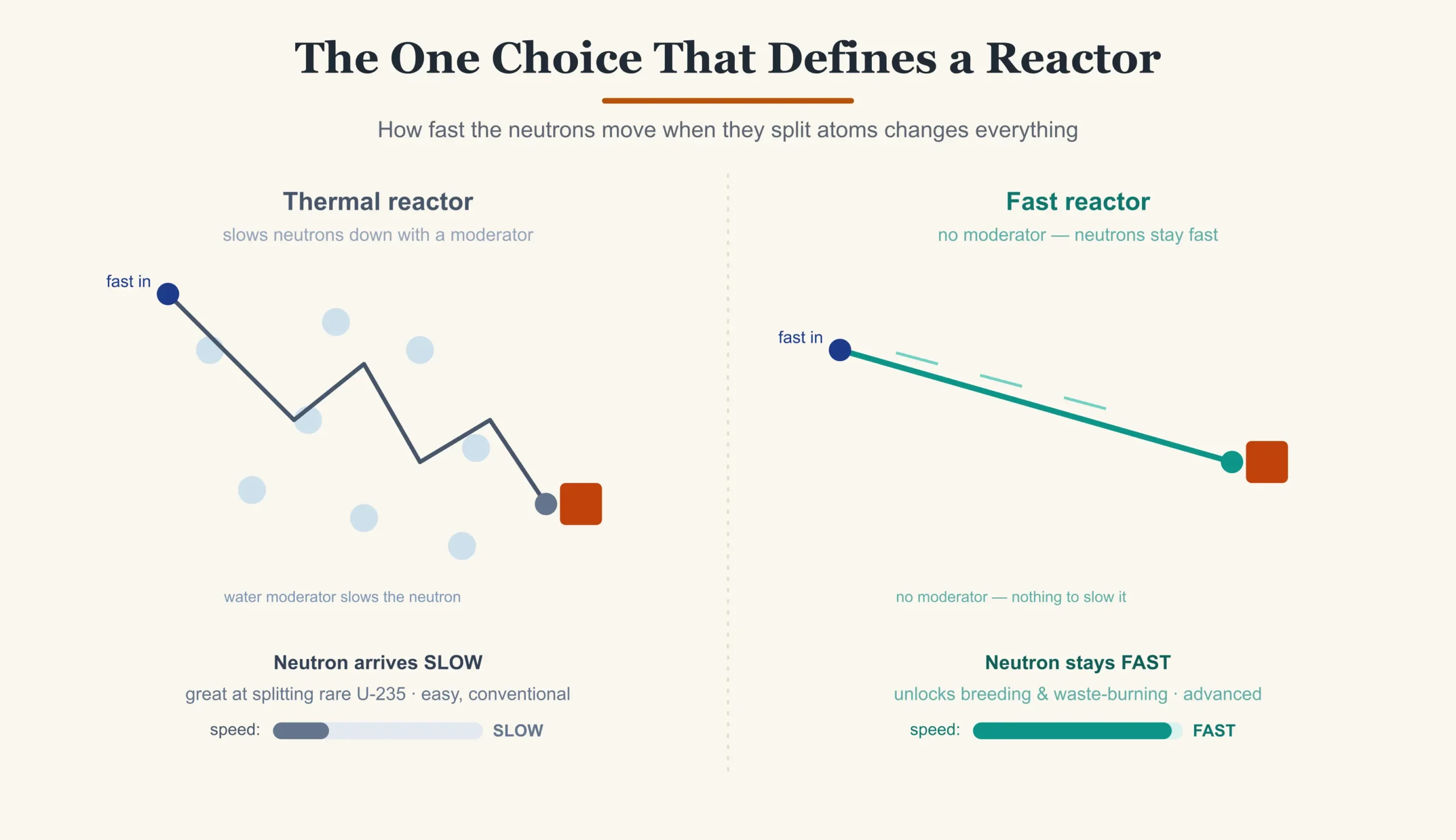 Diagram comparing a thermal reactor that slows its neutrons with a fast reactor that keeps them moving fast