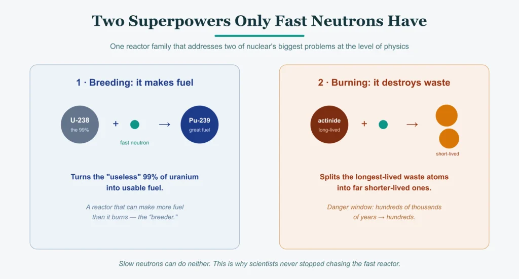 How fast neutrons enable breeding new fuel and burning long-lived nuclear waste