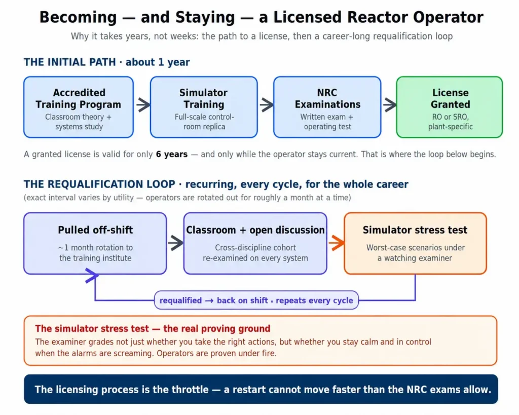 Flowchart of reactor operator licensing: accredited training, simulator training, NRC written and operating exams, licence granted, then a recurring career-long requalification loop