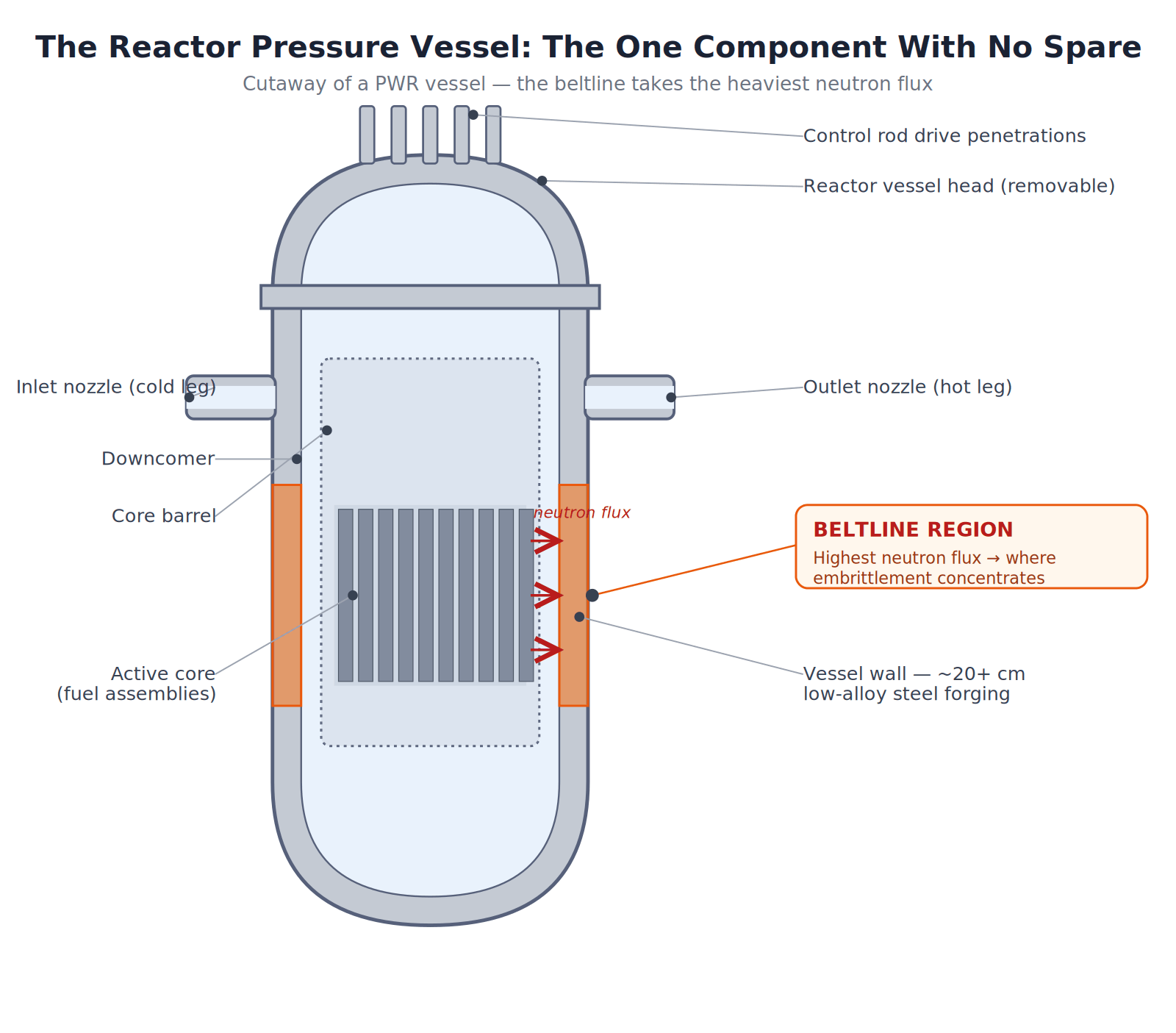 Reactor pressure vessel cutaway showing the beltline at core mid-height receiving peak neutron flux