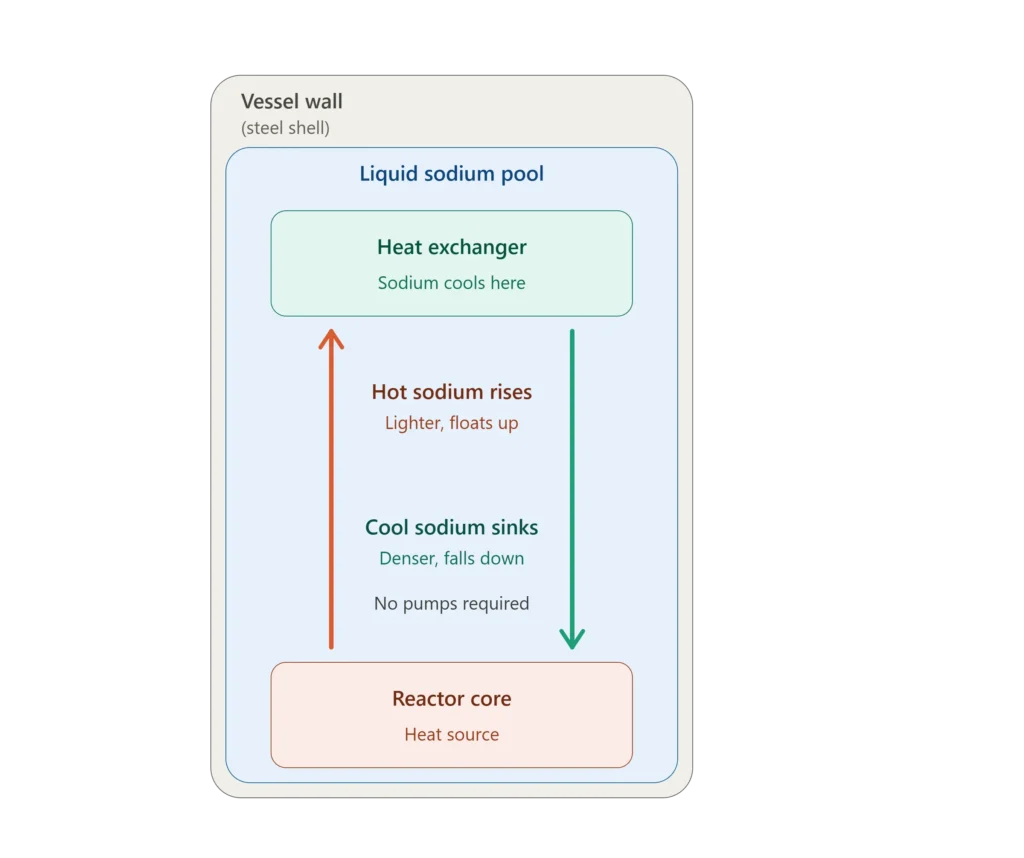 Diagram of a sodium-cooled fast reactor showing hot sodium rising from the core and cool sodium sinking by natural convection