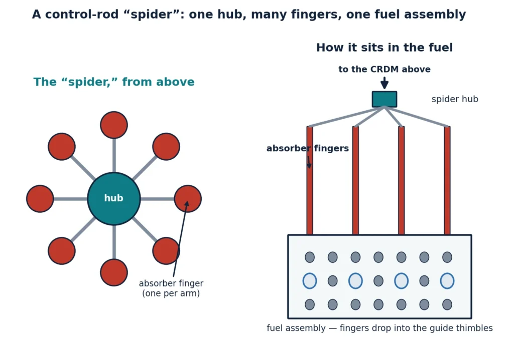 Two-panel diagram of a PWR control-rod spider. Left, top view: a central hub with eight radial arms, an absorber finger at the end of each arm, giving the assembly its spider shape. Right, side view: the spider hangs from the control rod drive mechanism (CRDM) above and its absorber fingers drop down into the guide thimbles of a fuel assembly's lattice.